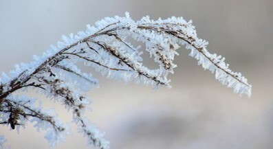 Sborové aktivity v lednu