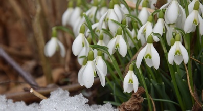 Sborové aktivity v únoru